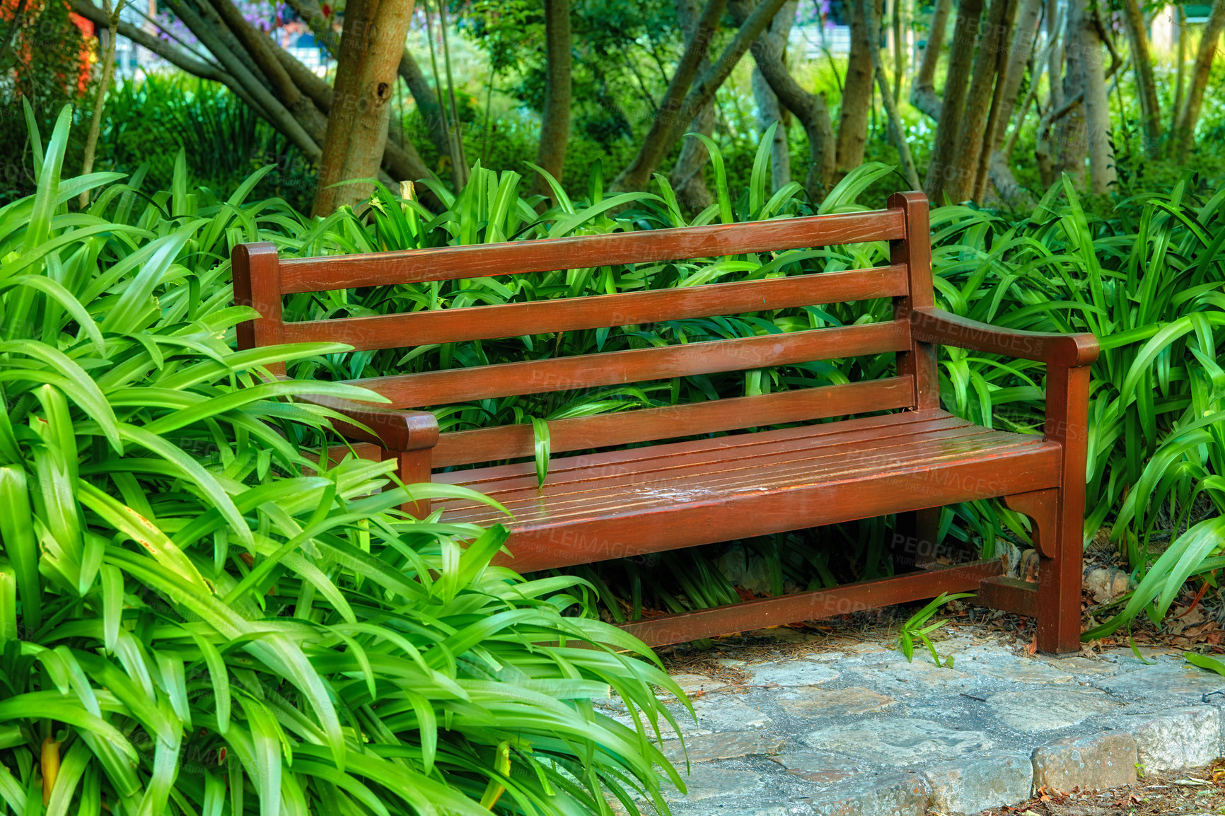 Buy stock photo Wooden bench in a garden or park. Beautiful and serene environment to enjoy a peaceful and calm break on a sunny day with plants blooming in nature. Outdoor seating furniture in a relaxing setting