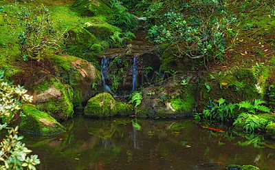 Buy stock photo A landscape of the tropical waterfall falls and a small crystal clear pond, peaceful dense tropical rainforest. Serene view of nature, water flowing through small stream in green wood after rainfall