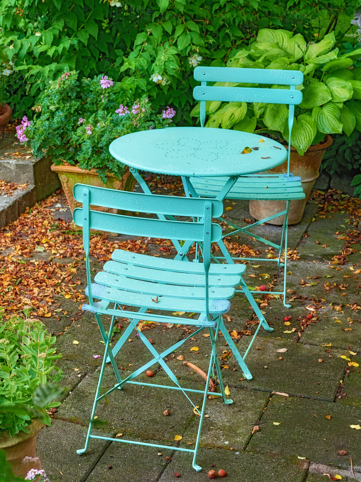 Buy stock photo Blue courtyard metal chairs and table in serene, peaceful, lush, private backyard at home on a summer's day. Patio furniture set and seating in empty and tranquil garden with fresh flowers and plants