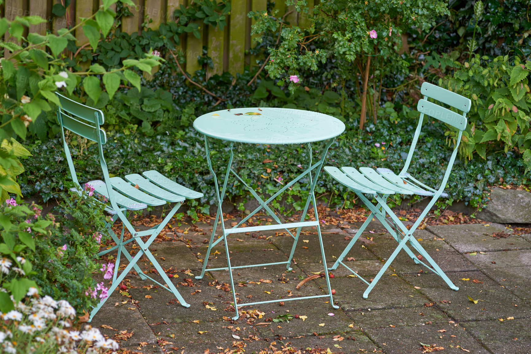 Buy stock photo Chairs and table with blooming green plants in a park or secluded patio outside. Relaxing picnic spot with empty seating for two in a lush garden to enjoy the fresh air for a stressless day in nature