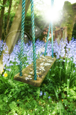 Buy stock photo Closeup of a fun wooden tree swing hanging on nylon rope in a serene, peaceful private backyard at home. Lens flare background, purple lavender plants, flowers growing in an empty and tranquil garden