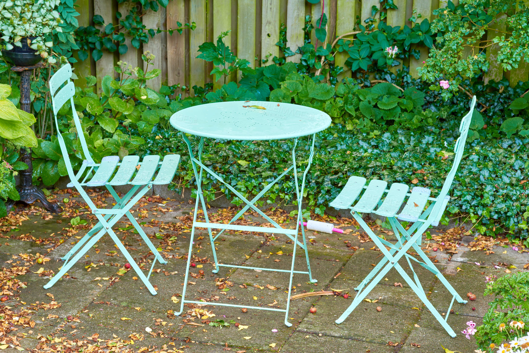 Buy stock photo Green courtyard metal chairs and table in a serene, peaceful, lush, private backyard at home on a summer's day. Patio furniture set, seating in empty and tranquil garden with fresh flowers and plants