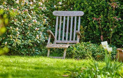 Buy stock photo A panorama photo of the garden in late summer