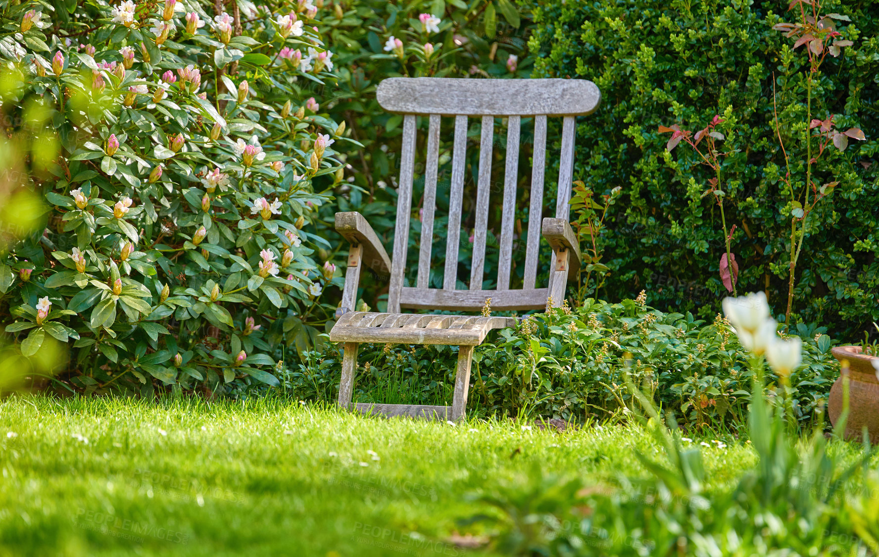 Buy stock photo A panorama photo of the garden in late summer