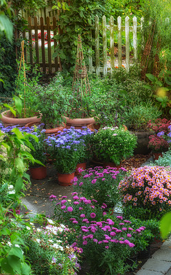 Buy stock photo A panorama photo of the garden in late summer