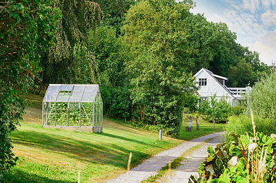 Buy stock photo Old Barnhouse. An entrance to a beautiful greenhouse with an abundant garden on the lawn. A countryside landscape view of a white wooden house, tall trees, and bushes in the backyard. 