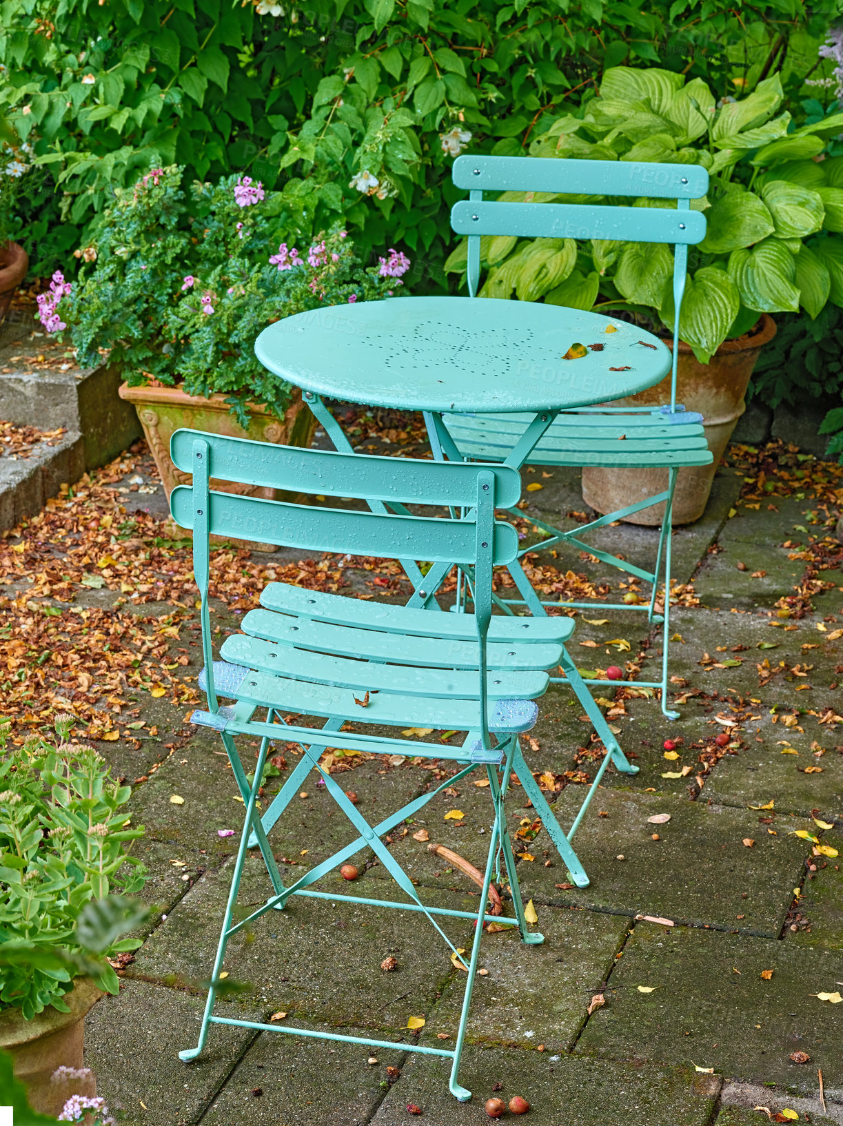 Buy stock photo Green courtyard metal chairs and table in a serene, peaceful, lush, private backyard at home on a summer's day. Patio furniture set, seating in empty and tranquil garden with fresh flowers and plants