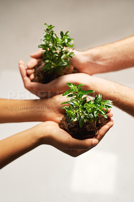 Buy stock photo Cropped shot of two people holding plants growing out of soil