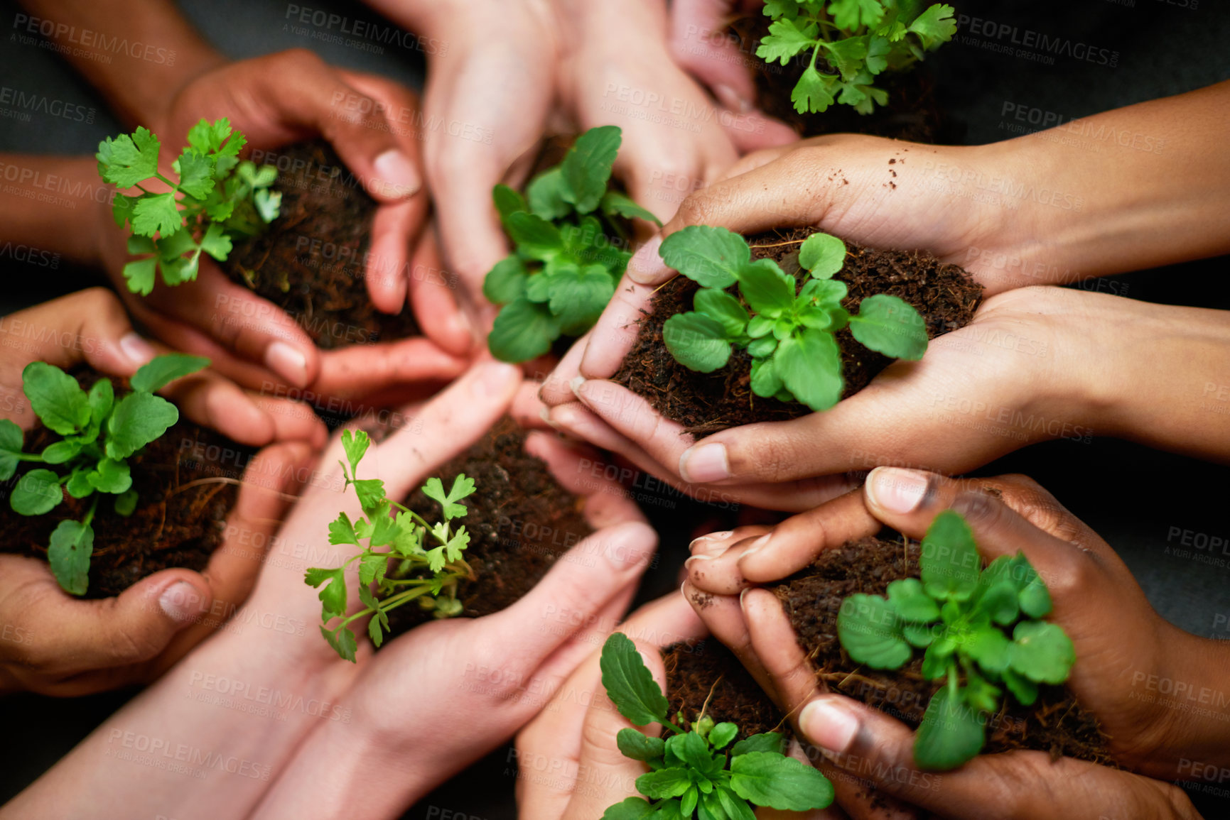 Buy stock photo Shot of a group of people each holding a plant growing in soil