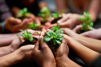 Buy stock photo Shot of a group of people each holding a plant growing in soil