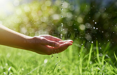 Buy stock photo Hands, nature and water drops for eco friendly and sustainable environment on earth day outdoor. Splash in palm with growth and garden for quality, rule or regulation of clean liquid for human rights