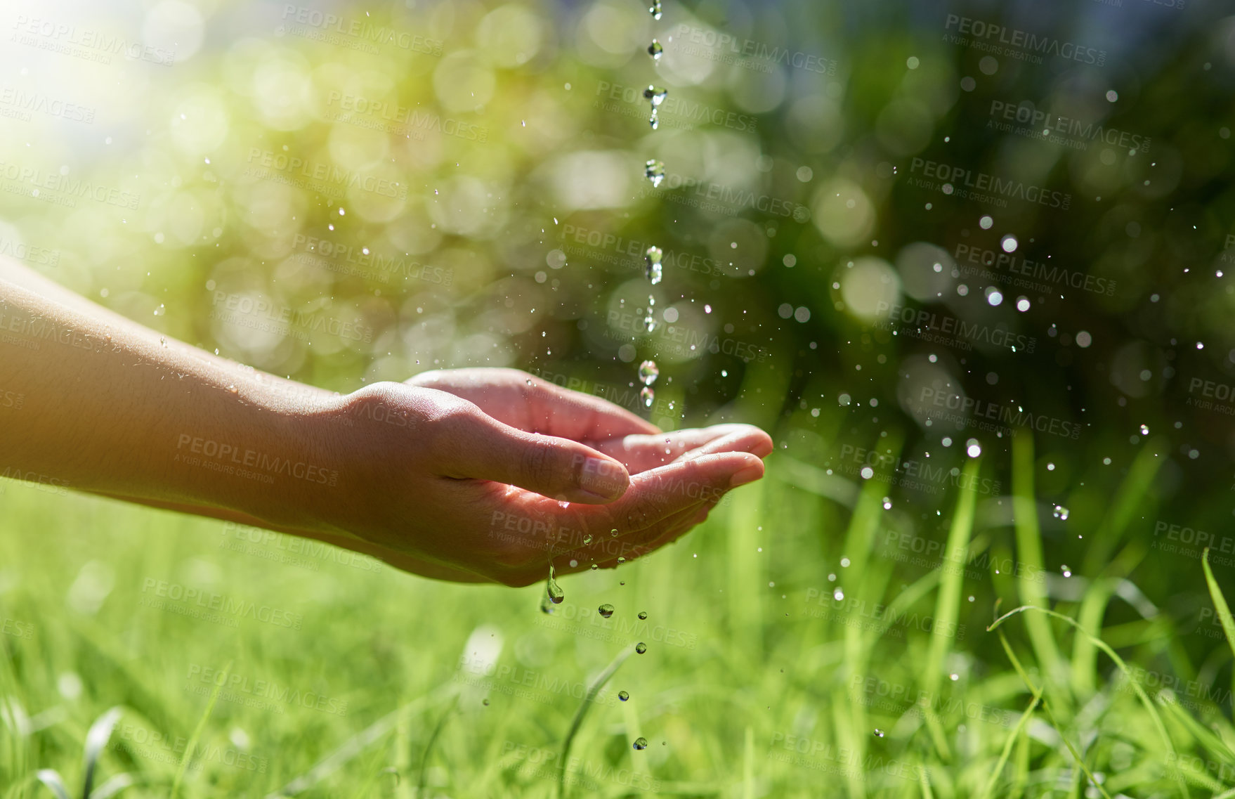 Buy stock photo Hands, nature and water drops for eco friendly and sustainable environment on earth day outdoor. Splash in palm with growth and garden for quality, rule or regulation of clean liquid for human rights