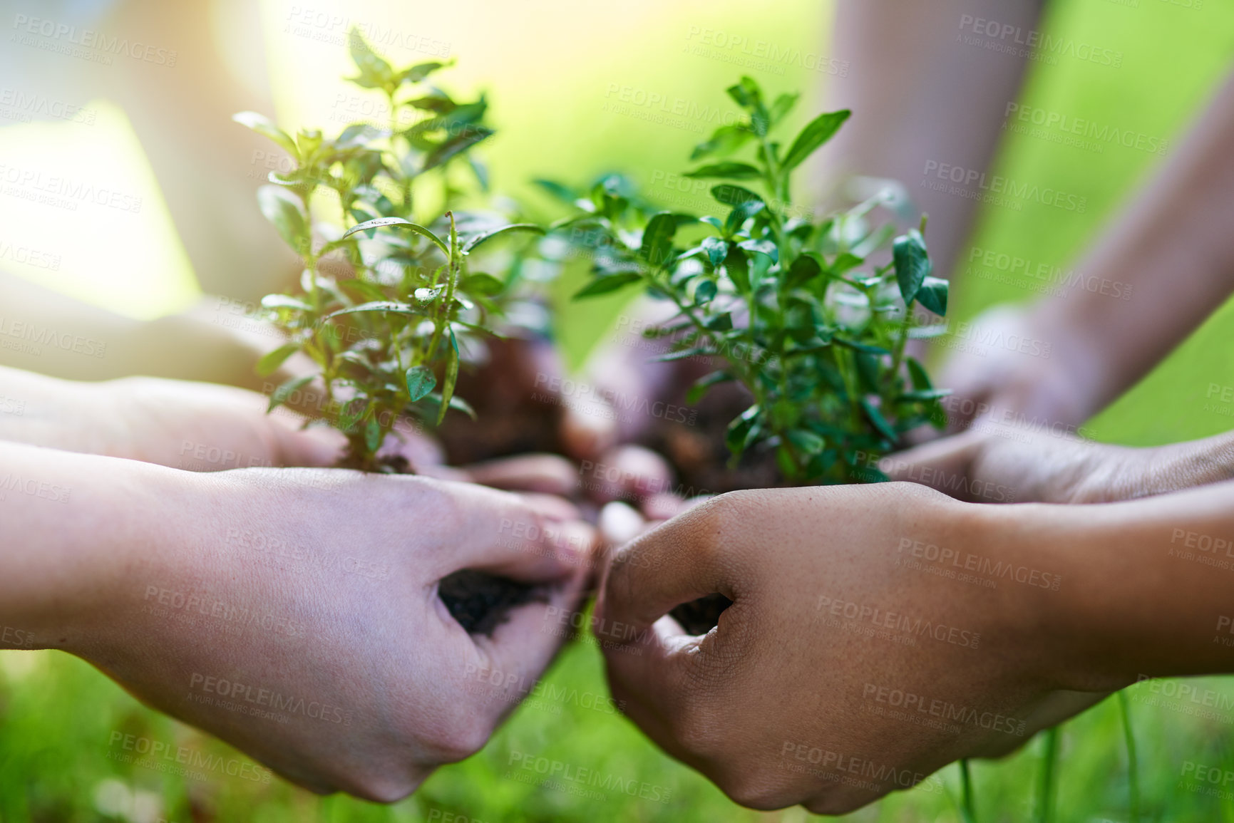 Buy stock photo Hands, plant and people with soil for earth day, support and eco business, nurture or funding. Recycling, sustainability and volunteer group with leaf growth for agriculture, ngo or climate change
