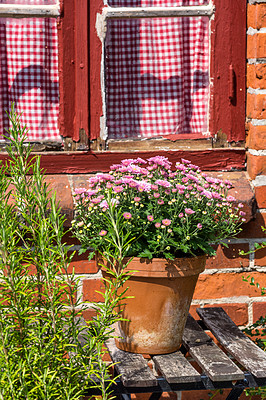 Buy stock photo Flower pot, wall and house with environment, landscaping and village as texture or wallpaper. Background, nature and home garden decor for vacation, outdoor adventure and holiday destination in Spain