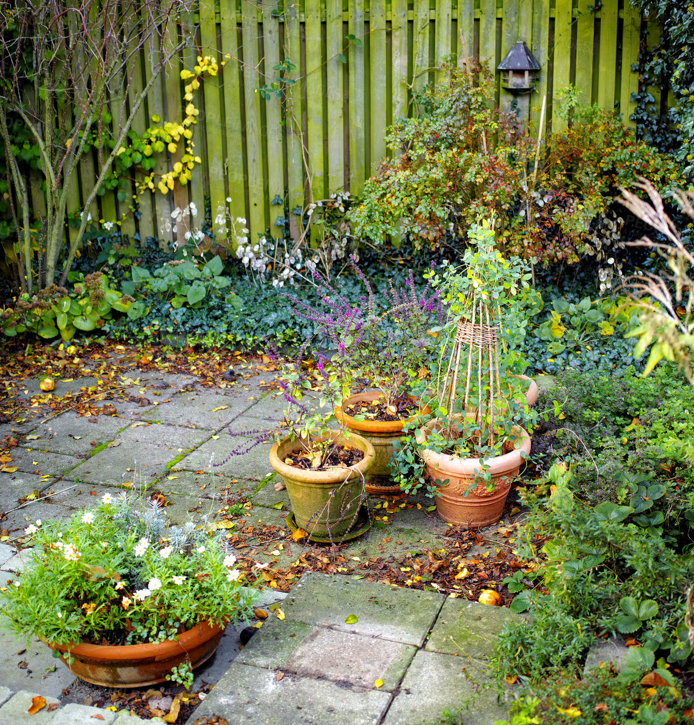 Buy stock photo My private spot in the garden