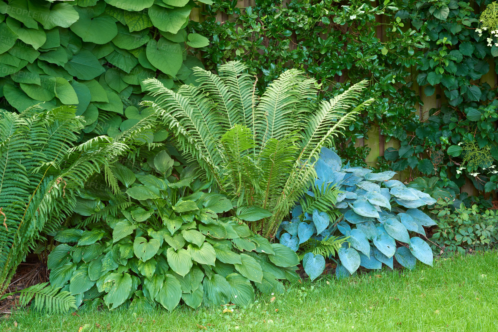 Buy stock photo A panorama photo of the garden in late summer