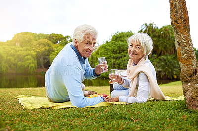 Buy stock photo Portrait of a senior couple enjoying a picnic in a park