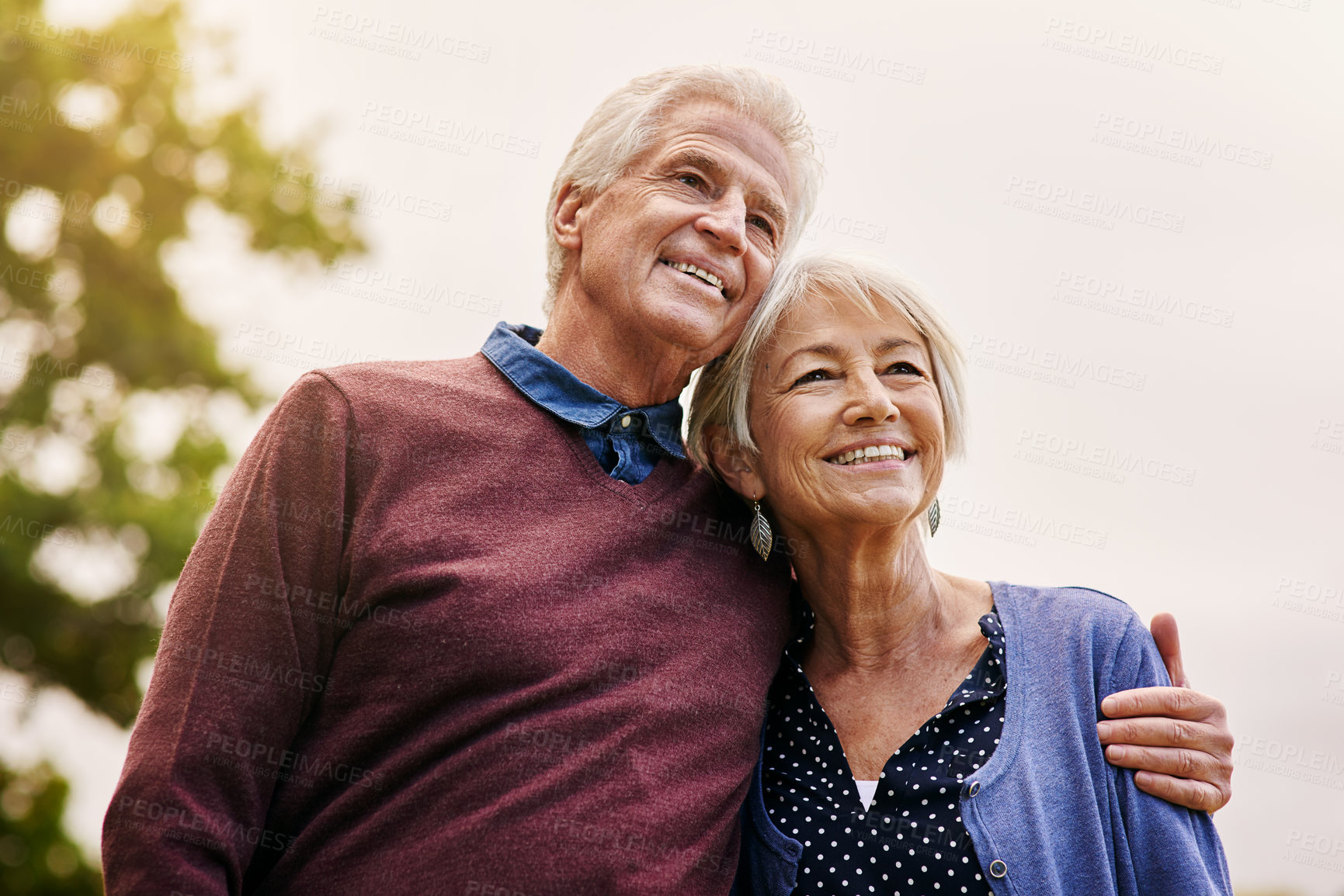 Buy stock photo Shot of a happy senior couple in the park