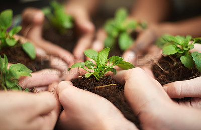 Buy stock photo Plant, soil and hands of people with growth for earth day, charity or eco friendly, garden and green business startup. Sustainability, environment and leaf in soil for climate change accountability