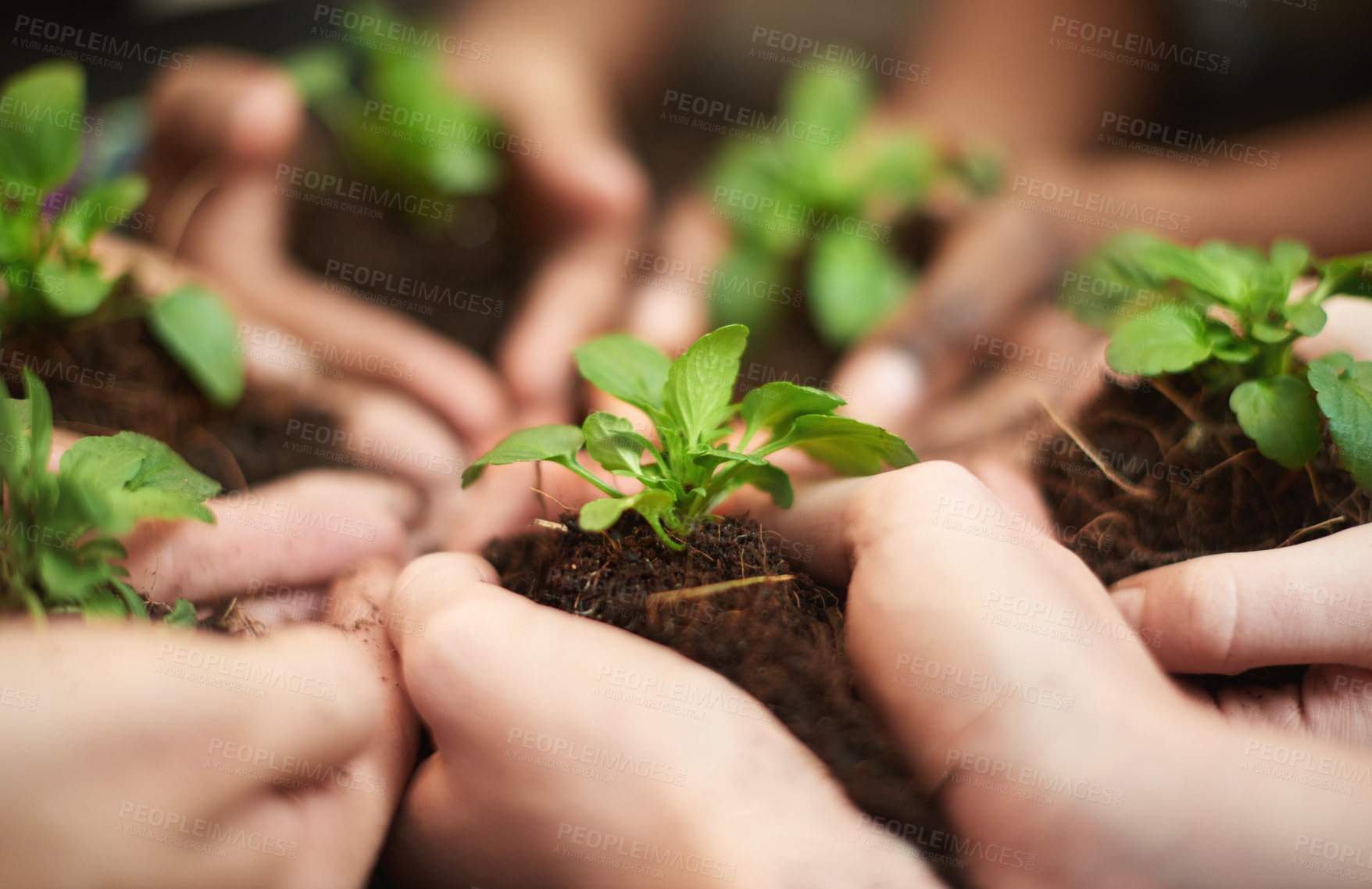 Buy stock photo Cropped shot of a group of people each holding a plant growing in soil together
