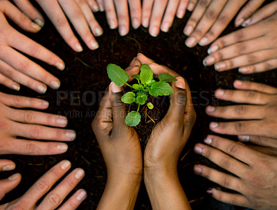 Buy stock photo Cropped shot of a group of people surrounding a person holding a plant growing in soil