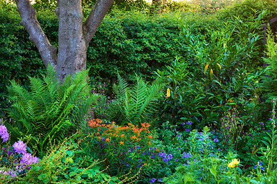 Buy stock photo My green, green garden paradise