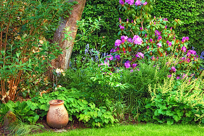 Buy stock photo My green, green garden paradise