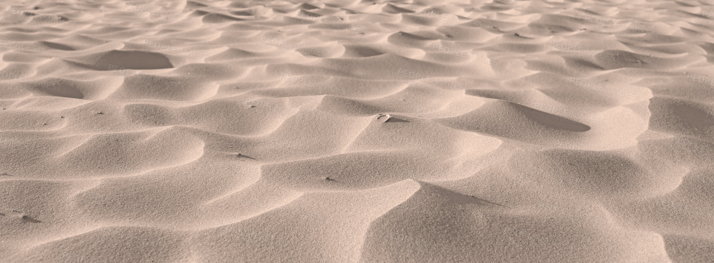 Buy stock photo Beach sand from desert dunes along the coast in nature with copyspace on a sunny day. Closeup of a scenic landscape outdoors with rough and rippled surface texture. A calm place to feel zen and relax