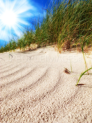 Buy stock photo Sandy beach shore with grass reeds and lens flare against a blue sky background and copyspace. Calm and peaceful tropical landscape to feel zen while enjoying a relaxing holiday or vacation