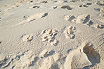 Beach, sand and ocean