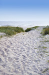 Beach, sand and ocean