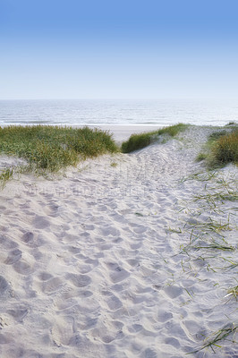 Buy stock photo Copyspace landscape and seascape of a sandy pathway to a tropical beach in summer. Path leading to seaside on holiday abroad. Trail going to the seashore on vacation. Relaxing view of blue sea water