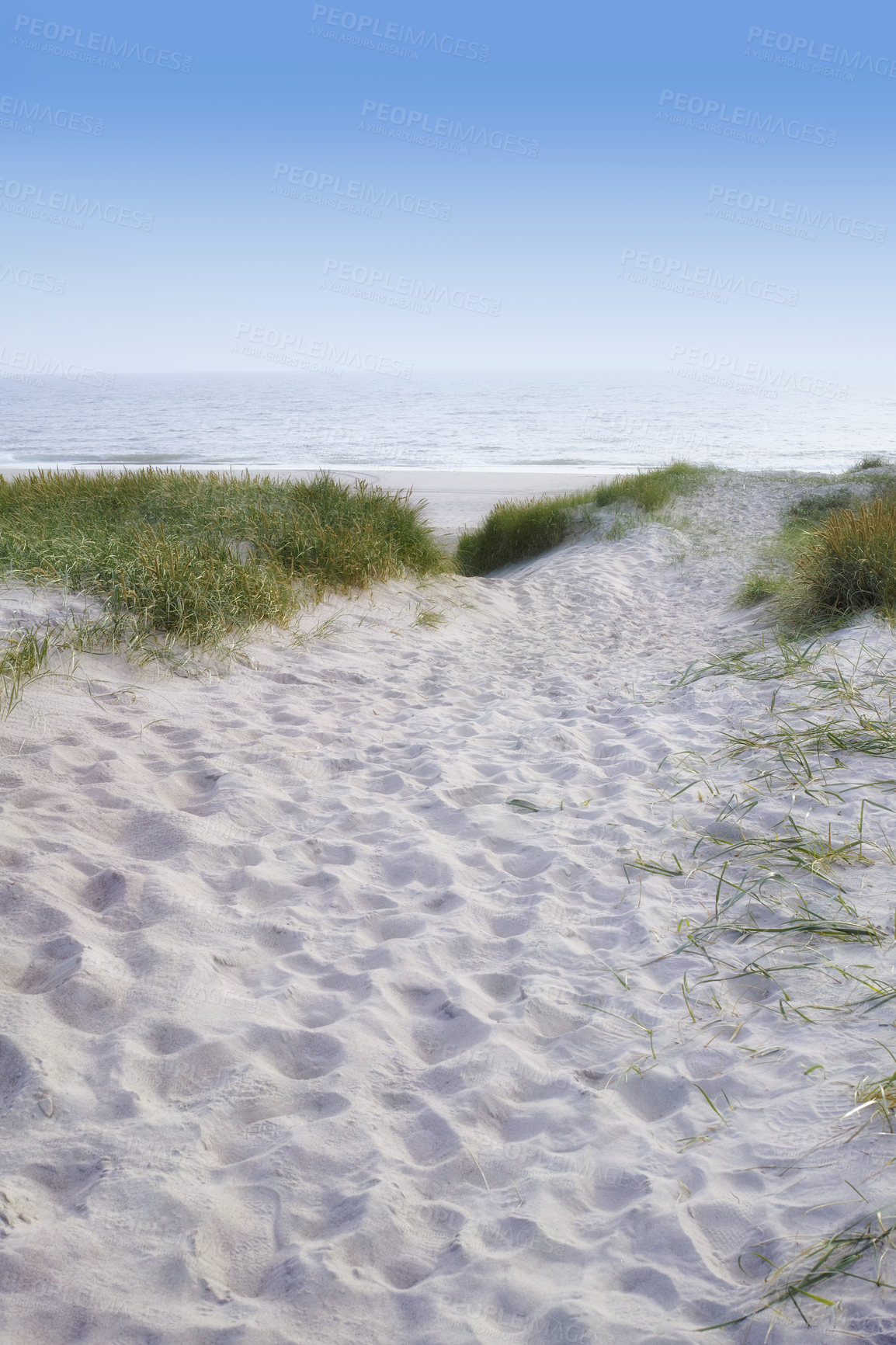 Buy stock photo Copyspace landscape and seascape of a sandy pathway to a tropical beach in summer. Path leading to seaside on holiday abroad. Trail going to the seashore on vacation. Relaxing view of blue sea water