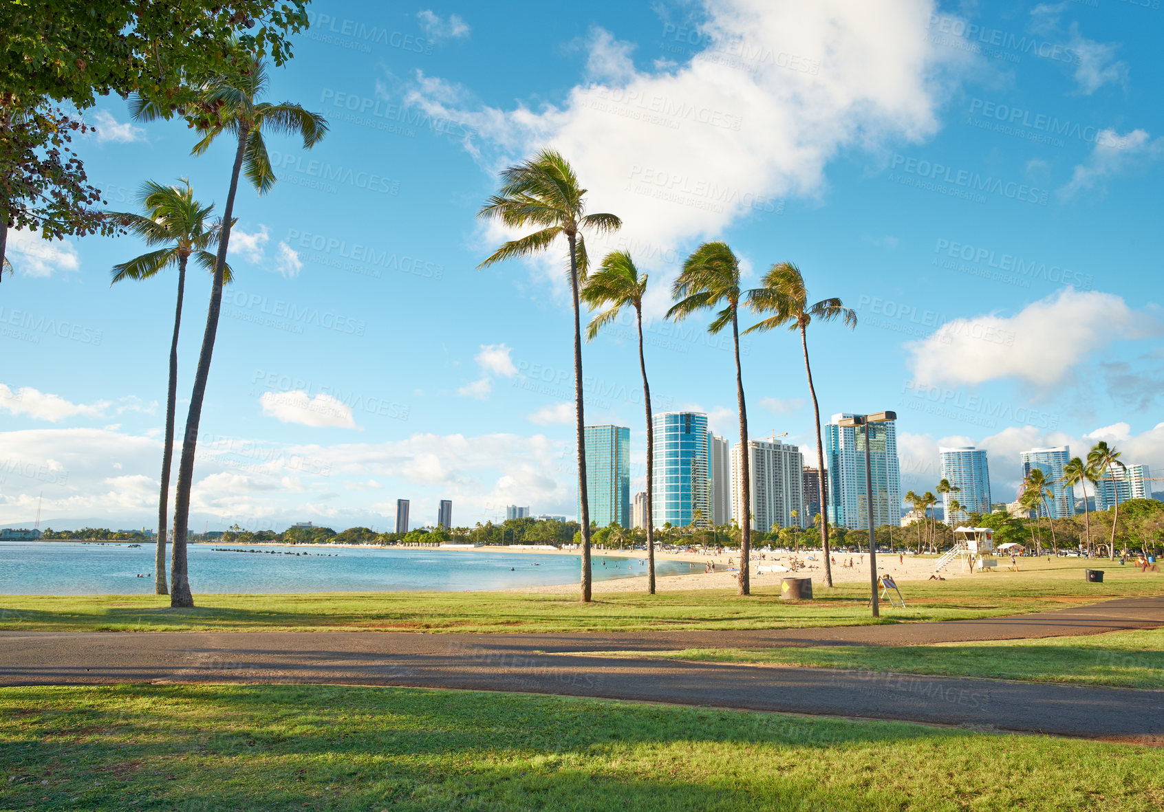 Buy stock photo Landscape, palm tree and building with beach and ocean for environment, travel destination and tropical. Summer vacation, water and sand with sea at Miami for coastline, holiday and paradise tourism
