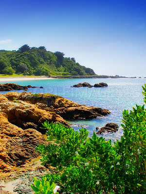 Buy stock photo Landscape, plants and rock with beach and ocean for environment, travel destination and tropical. Summer vacation, water and nature with sea horizon for mediterranean coastline, holiday and paradise