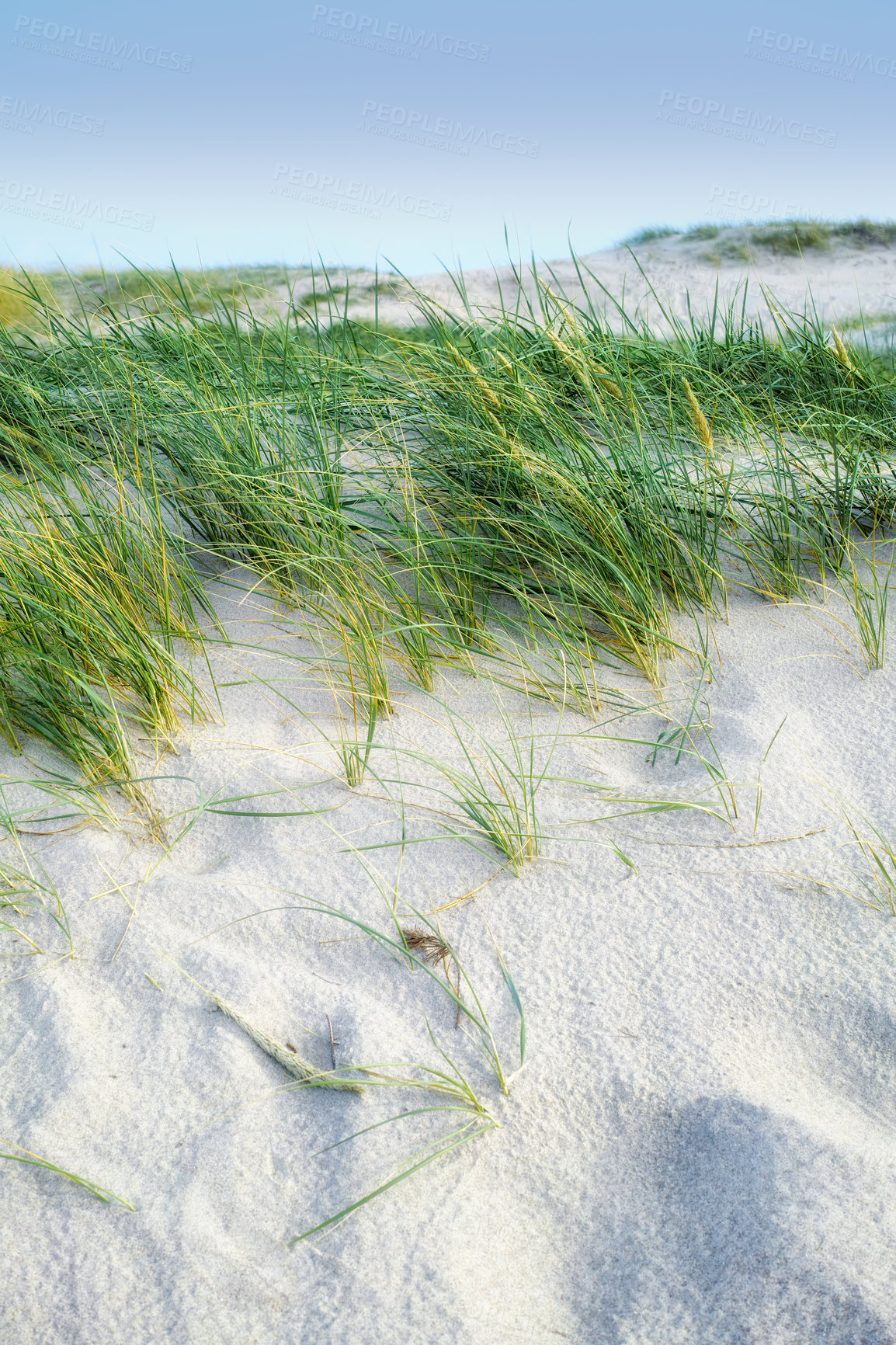 Buy stock photo Beach and ocean -  Jutland, West Coast, Denmark