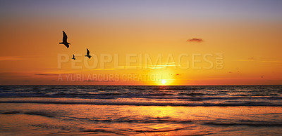 Buy stock photo Landscape, sunset and birds with beach and ocean for environment, travel destination and tropical. Summer vacation, water and nature with sea horizon for mediterranean coastline, holiday and paradise