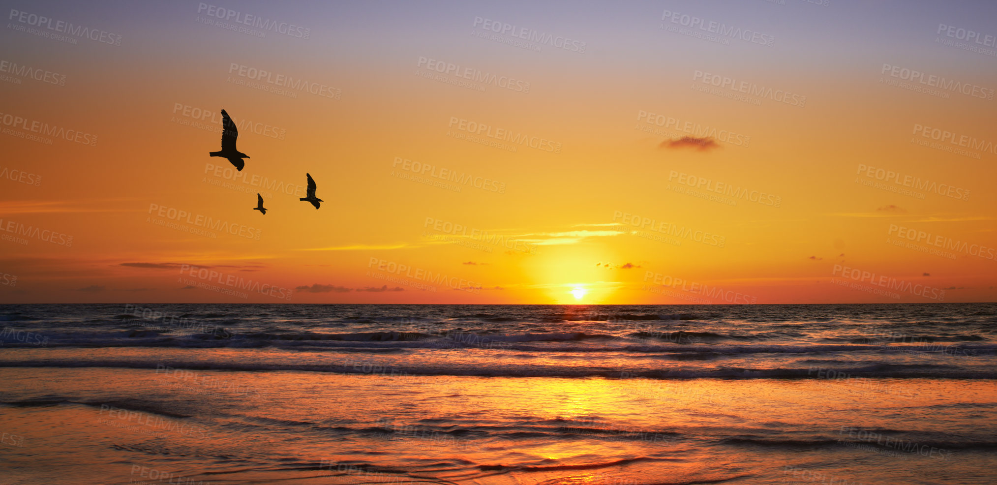 Buy stock photo Landscape, sunset and birds with beach and ocean for environment, travel destination and tropical. Summer vacation, water and nature with sea horizon for mediterranean coastline, holiday and paradise