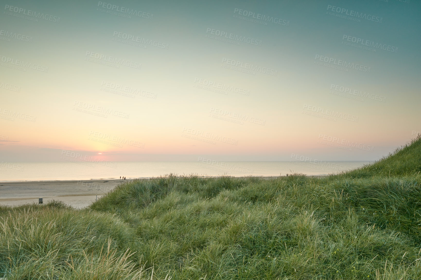 Buy stock photo Background, sunset and beach in environment for peace, nature and tropical island for travel or vacation. Ocean, plants and bushes with shore, landscape and outdoor summer for holiday adventure