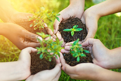 Buy stock photo Cropped shot of a group of people each holding a plant growing in soil