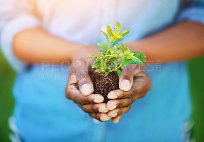 Buy stock photo Cropped shot of a person holding a plant growing in soil