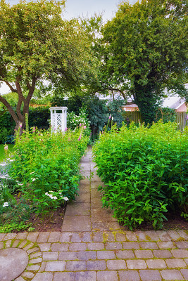 Buy stock photo A photo of the garden in summertime