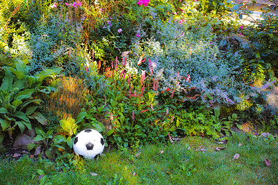 Buy stock photo A photo of the garden in summertime