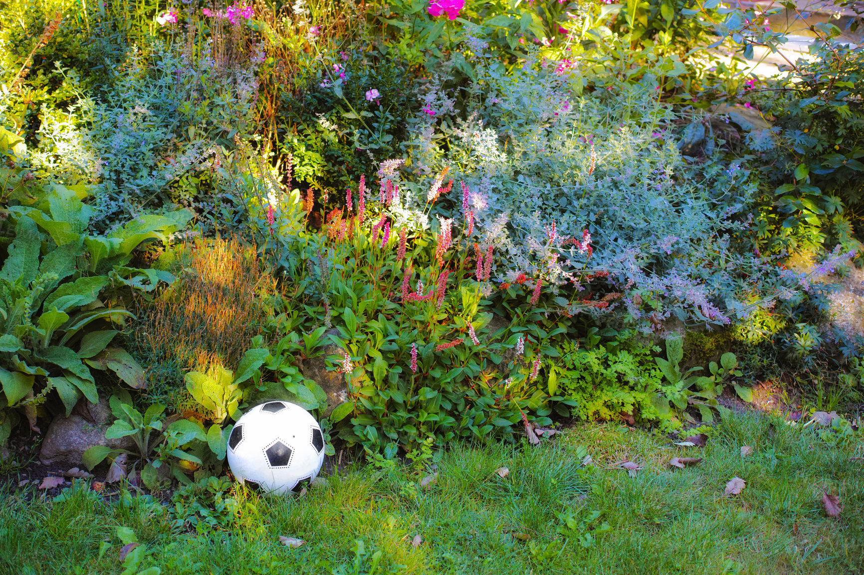 Buy stock photo A photo of the garden in summertime