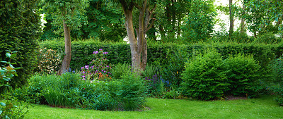 Buy stock photo A photo of the garden in summertime