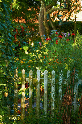 Buy stock photo A photo of the garden in summertime