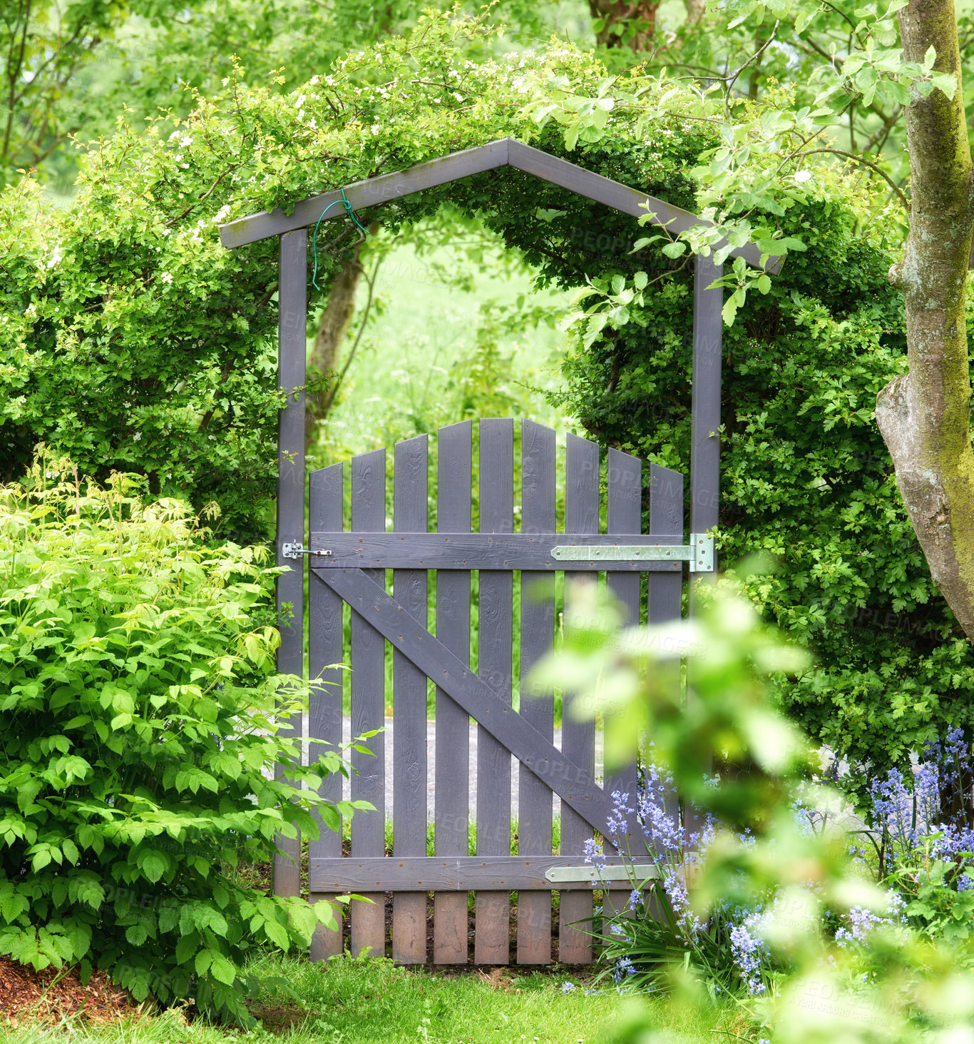 Buy stock photo Garden, gate and flowers landscaping with plants for entrance to forest, adventure and natural environment. Foliage, wooden structure and boundary hedge in nature for security, architecture and entry