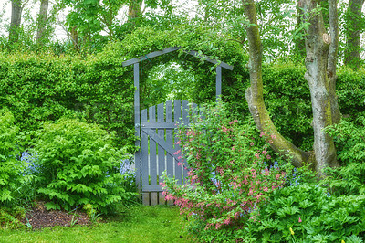 Buy stock photo Garden, gate and flowers with landscaping in park for entrance to forest, adventure and natural environment. Foliage, wooden structure and boundary hedge in nature for security, architecture or entry