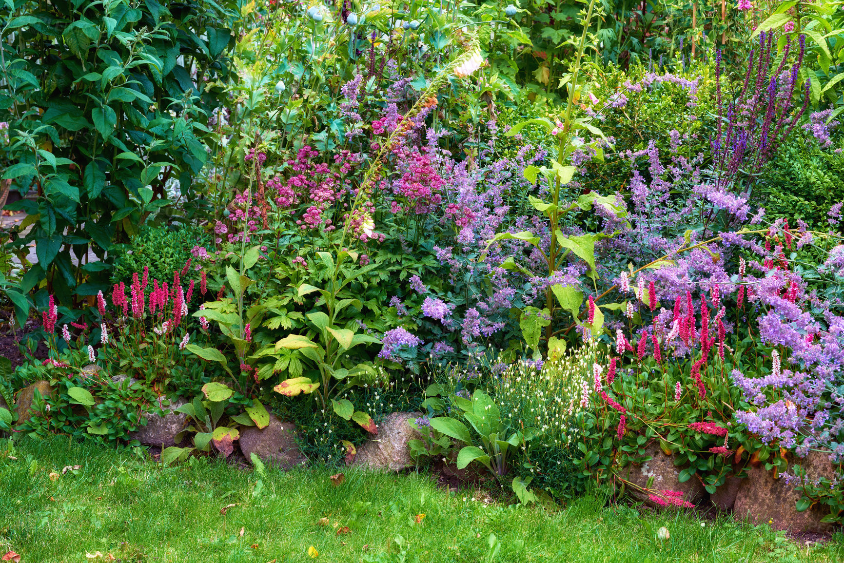 Buy stock photo A photo of the garden in summertime