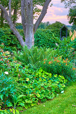 Buy stock photo A photo of the garden in summertime